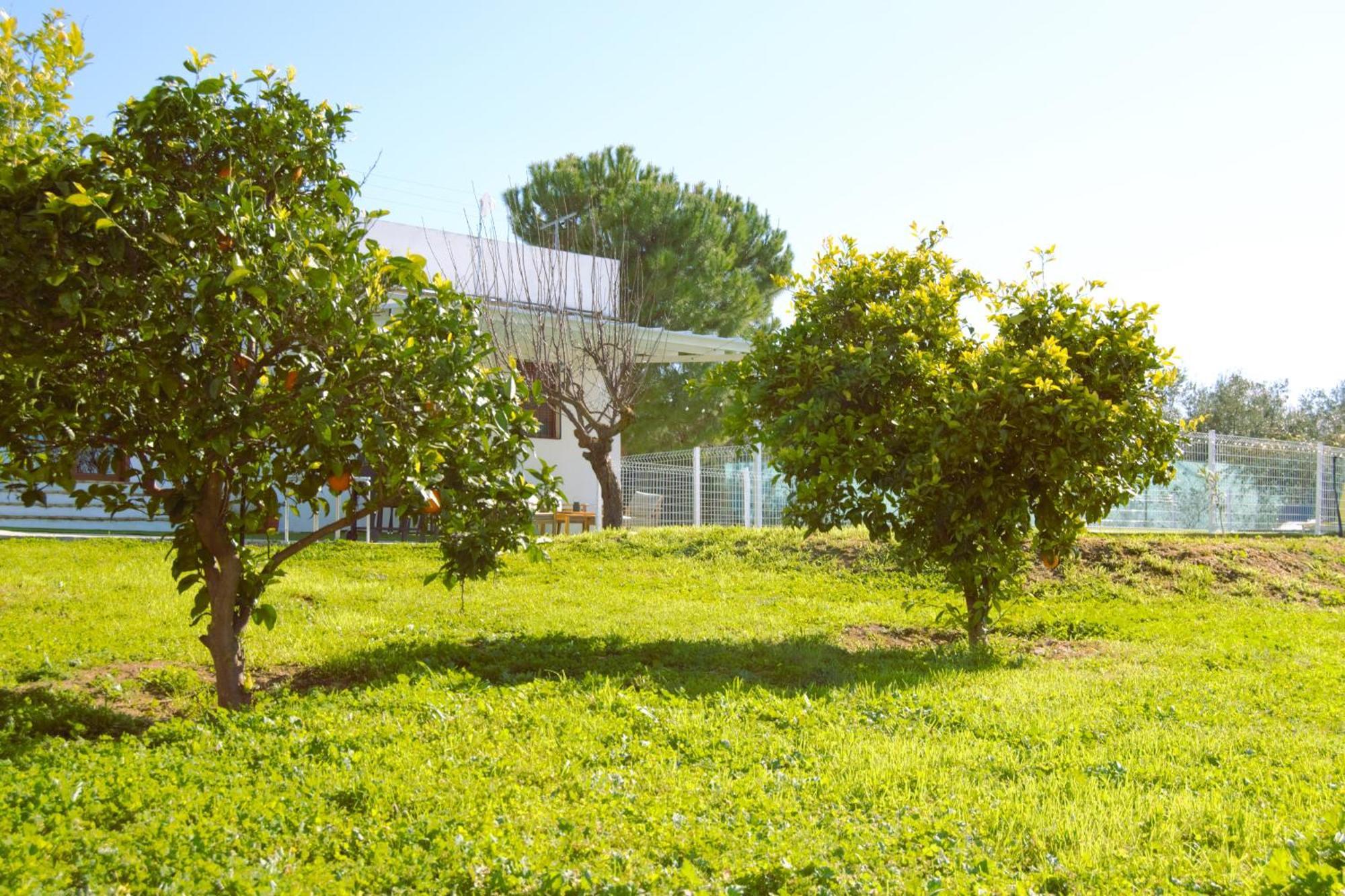 La Casa Del Carreron Villa Montilla Kültér fotó